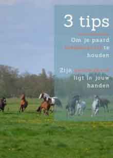 Gratis Ebook Paard Blessurevrij Houden Logo